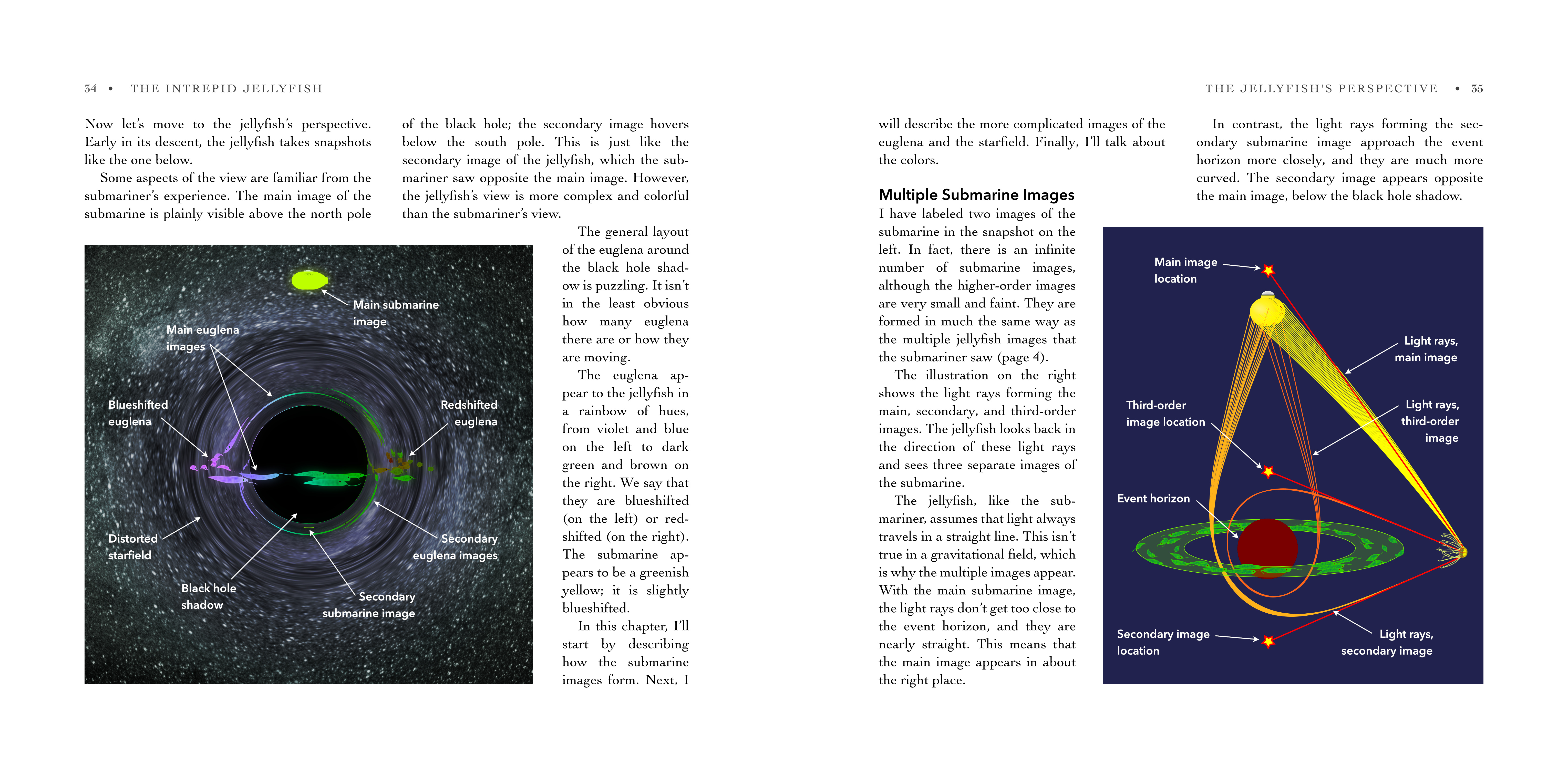 Page showing the jellyfish's initial view, and explanations in terms of light rays