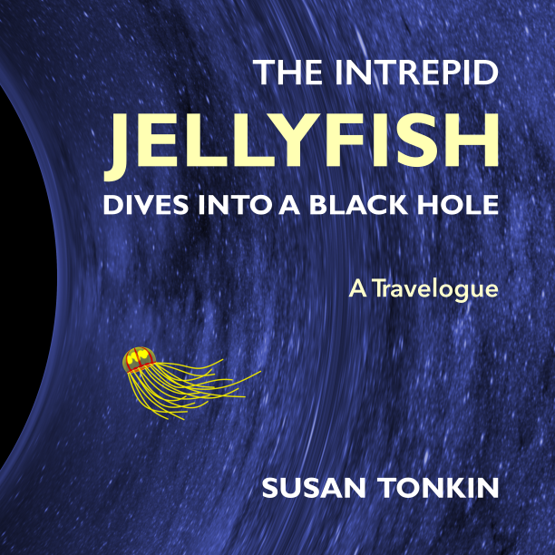 The Intrepid Jellyfish Dives Into a Black Hole: A Travelogue. New version.